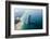 Aerial View of the Burj Al Arab, Dubai, United Arab Emirates-Bill Bachmann-Framed Photographic Print