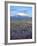 Aerial View of the Capital with Snow-Covered Mountain in Background, La Paz, Bolivia-Jim Zuckerman-Framed Photographic Print