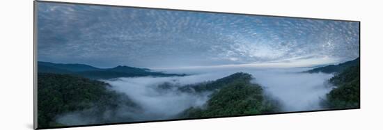 Aerial view of The Cloudforest, Mashpi, Reserva Mashpi Amagusa, Pichincha, Ecuador, South America-Ben Pipe-Mounted Photographic Print