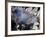 Aerial View of the Destruction Where the World Trade Center Collapsed-Stocktrek Images-Framed Photographic Print