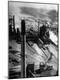 Photographic Print
