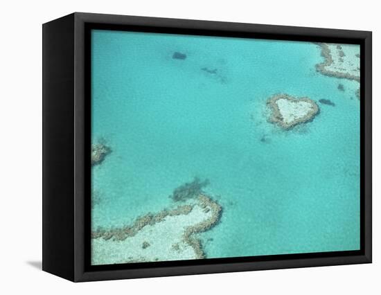 Aerial View of the Great Barrier Reef, Queensland, Australia-null-Framed Premier Image Canvas