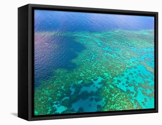 Aerial View of the Great Barrier Reef, Queensland, Australia-Miva Stock-Framed Premier Image Canvas