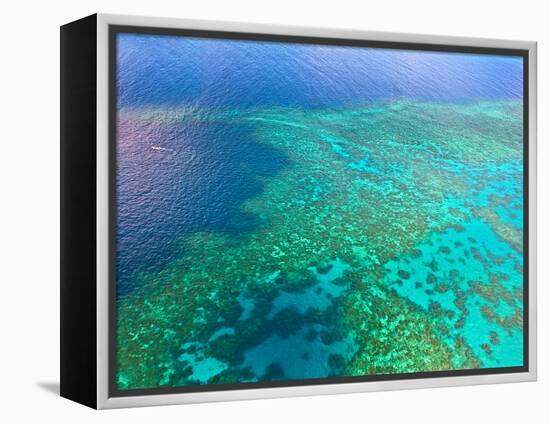 Aerial View of the Great Barrier Reef, Queensland, Australia-Miva Stock-Framed Premier Image Canvas