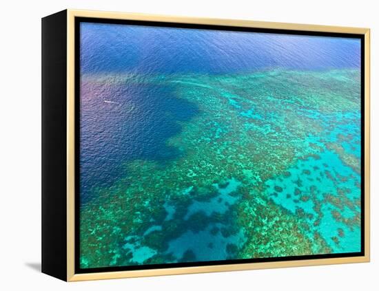 Aerial View of the Great Barrier Reef, Queensland, Australia-Miva Stock-Framed Premier Image Canvas