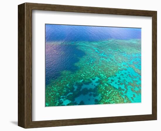 Aerial View of the Great Barrier Reef, Queensland, Australia-Miva Stock-Framed Photographic Print