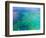 Aerial View of the Great Barrier Reef, Queensland, Australia-Miva Stock-Framed Photographic Print