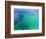 Aerial View of the Great Barrier Reef, Queensland, Australia-Miva Stock-Framed Photographic Print