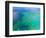 Aerial View of the Great Barrier Reef, Queensland, Australia-Miva Stock-Framed Photographic Print