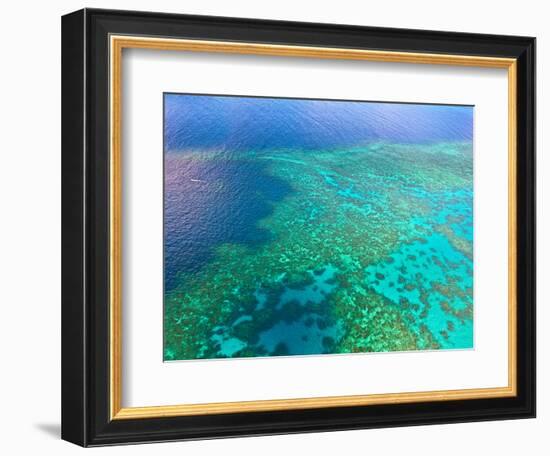 Aerial View of the Great Barrier Reef, Queensland, Australia-Miva Stock-Framed Photographic Print