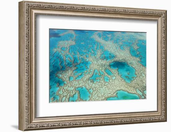 Aerial View of the Great Barrier Reef, Queensland, Australia-Peter Adams-Framed Photographic Print