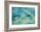 Aerial View of the Great Barrier Reef, Queensland, Australia-Peter Adams-Framed Photographic Print