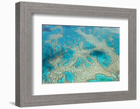 Aerial View of the Great Barrier Reef, Queensland, Australia-Peter Adams-Framed Photographic Print