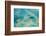 Aerial View of the Great Barrier Reef, Queensland, Australia-Peter Adams-Framed Photographic Print