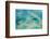 Aerial View of the Great Barrier Reef, Queensland, Australia-Peter Adams-Framed Photographic Print