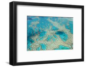 Aerial View of the Great Barrier Reef, Queensland, Australia-Peter Adams-Framed Photographic Print