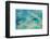 Aerial View of the Great Barrier Reef, Queensland, Australia-Peter Adams-Framed Photographic Print