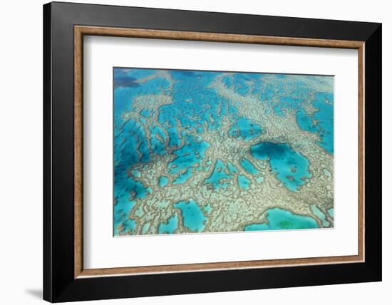 Aerial View of the Great Barrier Reef, Queensland, Australia-Peter Adams-Framed Photographic Print