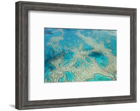 Aerial View of the Great Barrier Reef, Queensland, Australia-Peter Adams-Framed Photographic Print