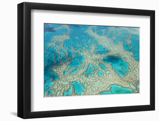 Aerial View of the Great Barrier Reef, Queensland, Australia-Peter Adams-Framed Photographic Print