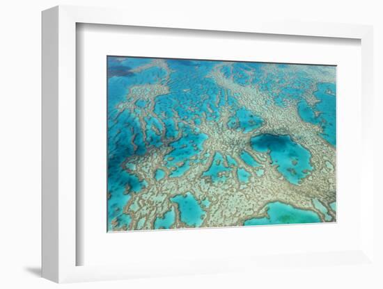 Aerial View of the Great Barrier Reef, Queensland, Australia-Peter Adams-Framed Photographic Print