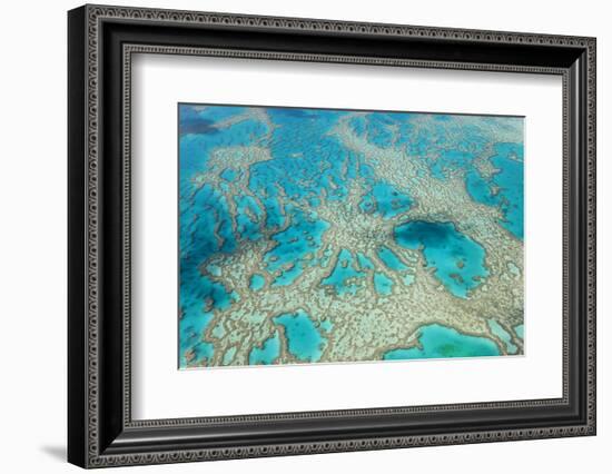 Aerial View of the Great Barrier Reef, Queensland, Australia-Peter Adams-Framed Photographic Print