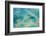 Aerial View of the Great Barrier Reef, Queensland, Australia-Peter Adams-Framed Photographic Print