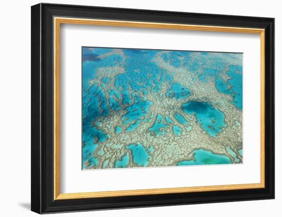 Aerial View of the Great Barrier Reef, Queensland, Australia-Peter Adams-Framed Photographic Print