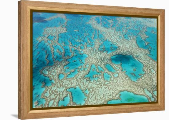 Aerial View of the Great Barrier Reef, Queensland, Australia-Peter Adams-Framed Premier Image Canvas