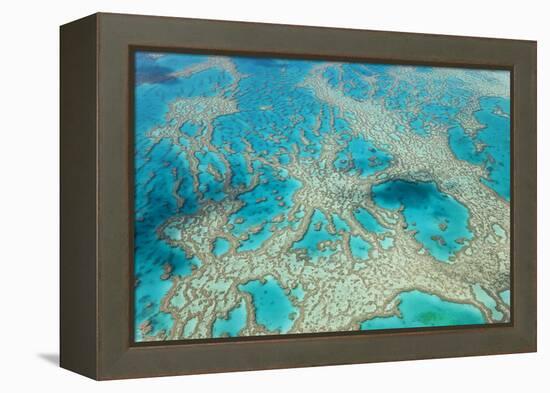 Aerial View of the Great Barrier Reef, Queensland, Australia-Peter Adams-Framed Premier Image Canvas