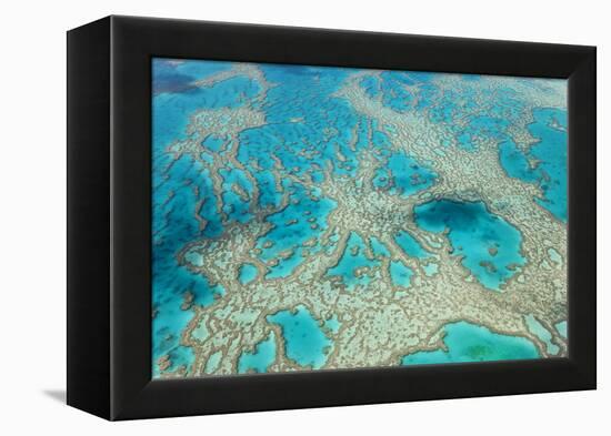 Aerial View of the Great Barrier Reef, Queensland, Australia-Peter Adams-Framed Premier Image Canvas