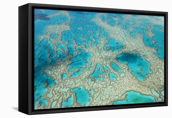 Aerial View of the Great Barrier Reef, Queensland, Australia-Peter Adams-Framed Premier Image Canvas