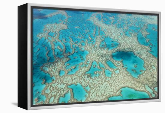 Aerial View of the Great Barrier Reef, Queensland, Australia-Peter Adams-Framed Premier Image Canvas