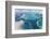 Aerial View of the Great Barrier Reef, Queensland, Australia-Peter Adams-Framed Photographic Print