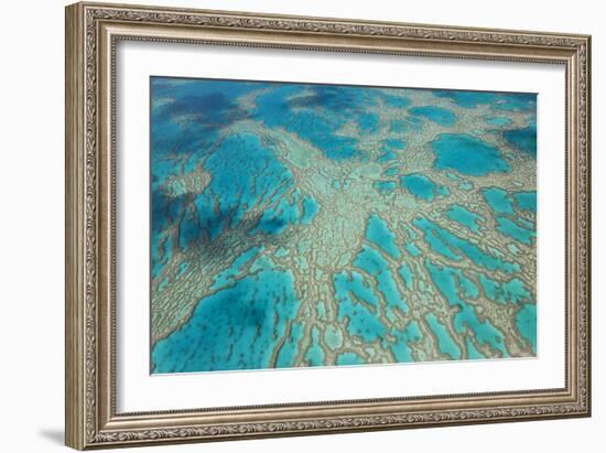 Aerial View of the Great Barrier Reef, Queensland, Australia-Peter Adams-Framed Photographic Print