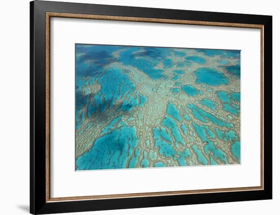 Aerial View of the Great Barrier Reef, Queensland, Australia-Peter Adams-Framed Photographic Print