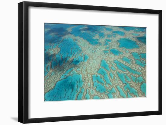 Aerial View of the Great Barrier Reef, Queensland, Australia-Peter Adams-Framed Photographic Print