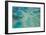 Aerial View of the Great Barrier Reef, Queensland, Australia-Peter Adams-Framed Photographic Print