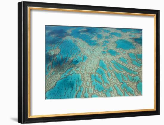 Aerial View of the Great Barrier Reef, Queensland, Australia-Peter Adams-Framed Photographic Print