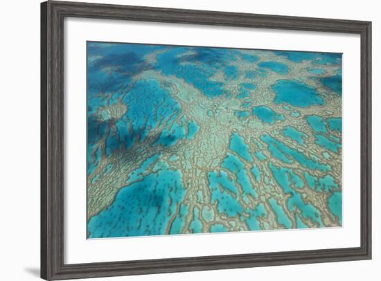 Aerial View of the Great Barrier Reef, Queensland, Australia-Peter Adams-Framed Photographic Print