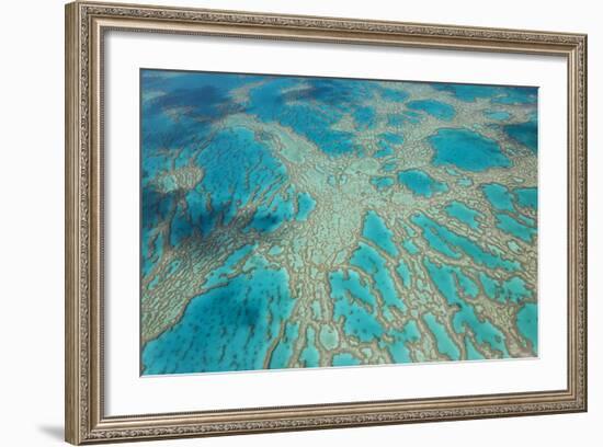 Aerial View of the Great Barrier Reef, Queensland, Australia-Peter Adams-Framed Photographic Print