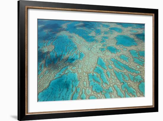 Aerial View of the Great Barrier Reef, Queensland, Australia-Peter Adams-Framed Photographic Print