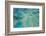 Aerial View of the Great Barrier Reef, Queensland, Australia-Peter Adams-Framed Photographic Print