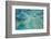 Aerial View of the Great Barrier Reef, Queensland, Australia-Peter Adams-Framed Photographic Print