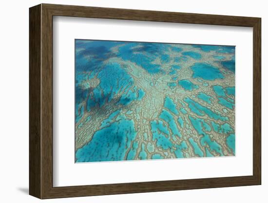 Aerial View of the Great Barrier Reef, Queensland, Australia-Peter Adams-Framed Photographic Print