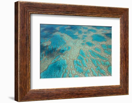 Aerial View of the Great Barrier Reef, Queensland, Australia-Peter Adams-Framed Photographic Print