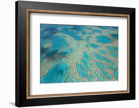 Aerial View of the Great Barrier Reef, Queensland, Australia-Peter Adams-Framed Photographic Print