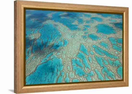 Aerial View of the Great Barrier Reef, Queensland, Australia-Peter Adams-Framed Premier Image Canvas