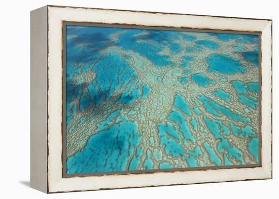 Aerial View of the Great Barrier Reef, Queensland, Australia-Peter Adams-Framed Premier Image Canvas