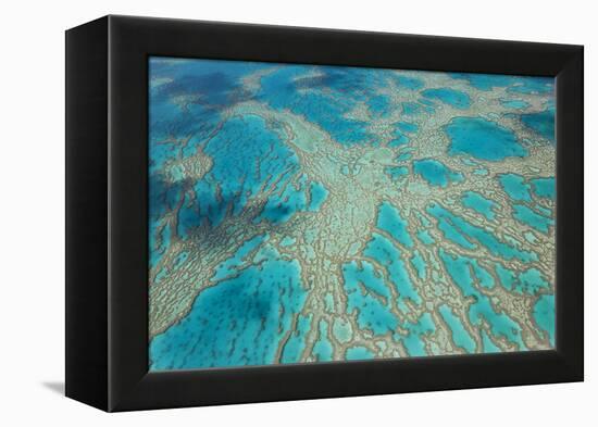 Aerial View of the Great Barrier Reef, Queensland, Australia-Peter Adams-Framed Premier Image Canvas